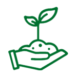 environnement